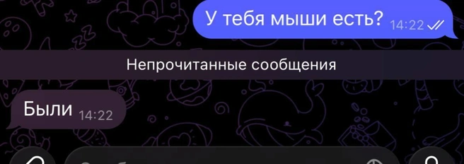 Переписка с соседом | Источник: Личный архив Виктории