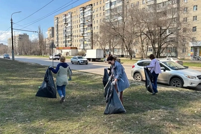 В Воронеже весенний субботник пройдет 25 апреля