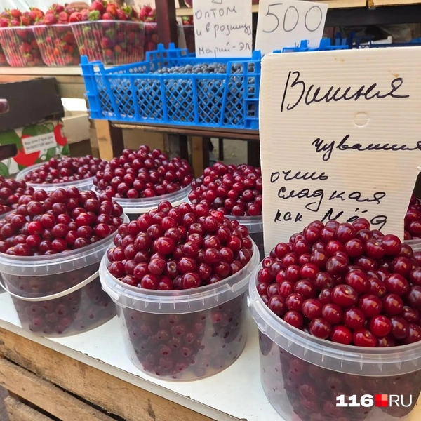 Эта вишня за 350 рублей  | Источник: Дарья Елисейчева / 116.RU