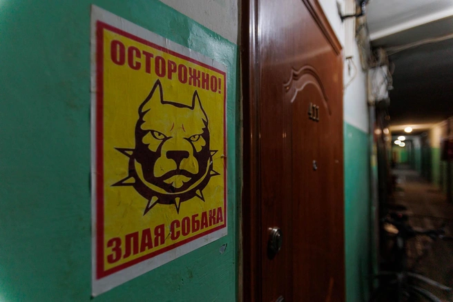Страшно, испугались? А за дверью&nbsp;— тишина, никакой собаки, такое ощущение, и нет | Источник: Ирина Шарова / 72.RU 