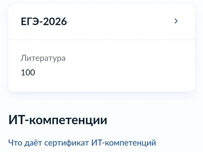 Баллы появились на портале «Госуслуги» | Источник: читатель E1.RU