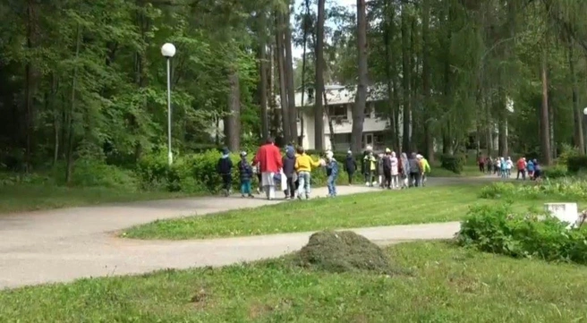 Источник: предоставлено детским санаторием «Пионер»
