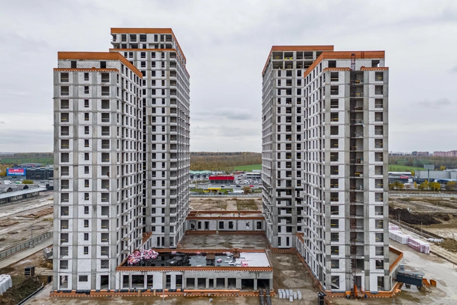 Источник: Брусника 