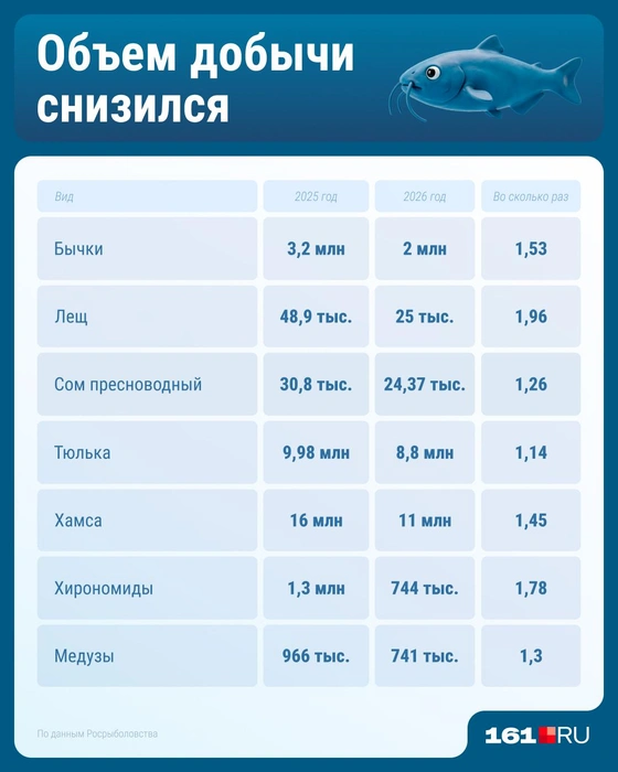 Источник: Серафима Пантыкина / Городские медиа