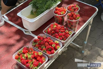 Первый урожай в Благовещенске: лук выгоден, клубника уходит быстро
