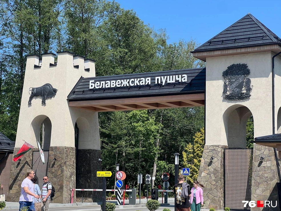 Беловежская Пуща — одна из главных достопримечательностей Белоруссии | Источник: Валентина