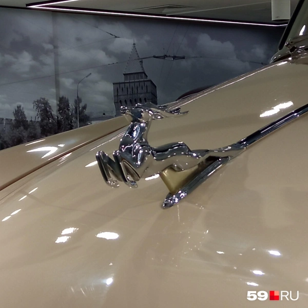 Очень узнаваемый значок | Источник: Вероника Свизева / 59.RU