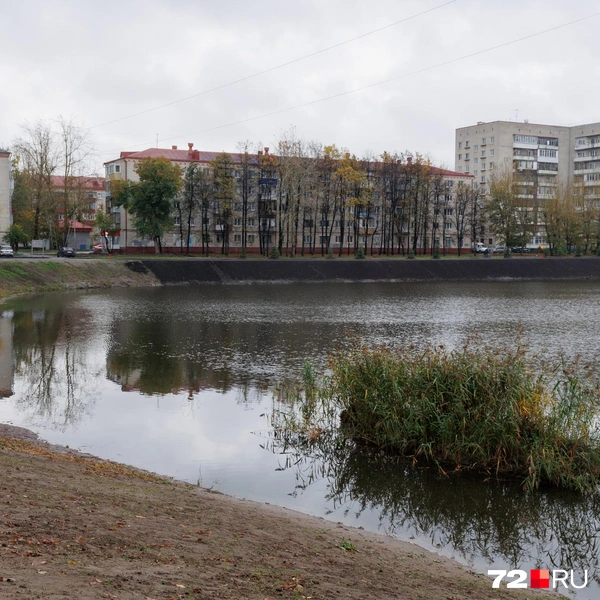 Источник: Ирина Шарова / 72.RU