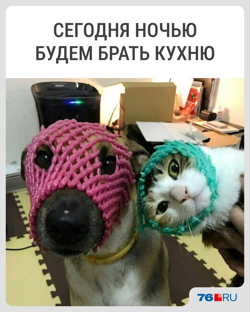 Они знают свое дело | Источник: Городские медиа