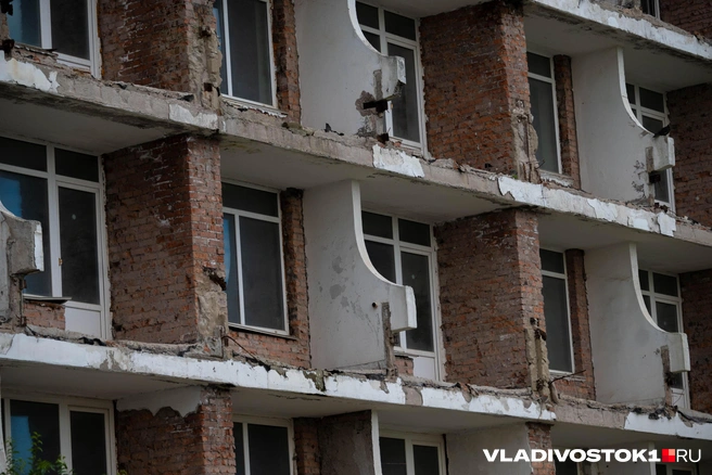 Что с ними будут делать власти, неизвестно | Источник: Елена Буйвол / VLADIVOSTOK1.RU