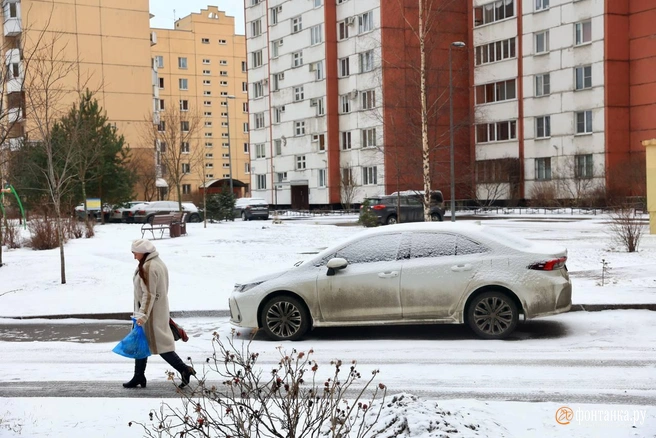 Зима в Петербурге крепнет. Снега столько, что на дорогах уже снежный накат | Источник: Сергей Михайличенко / «Фонтанка.ру»