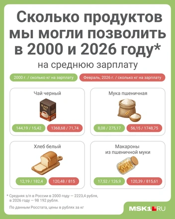 Источник: Полина Авдошина / Городские медиа