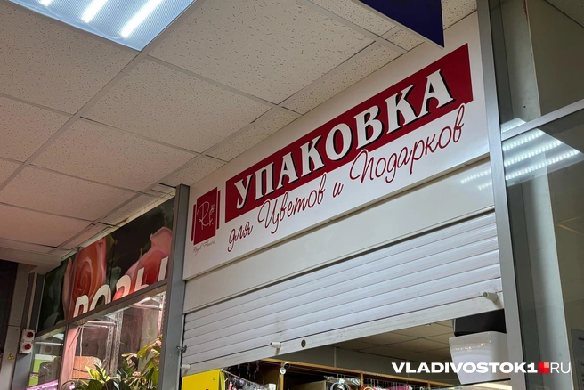 Источник: Елена Буйвол / VLADIVOSTOK1.RU