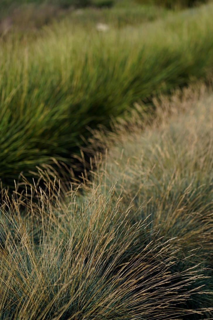 Источник: Garden Group 