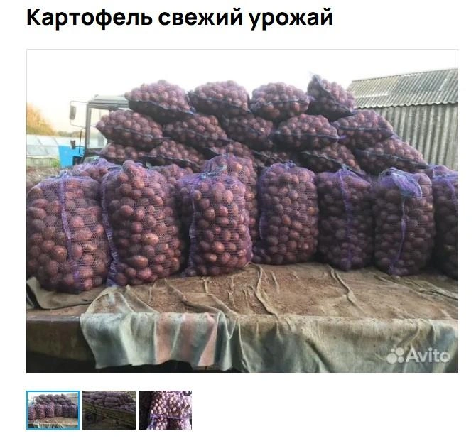 Источник: Avito.ru