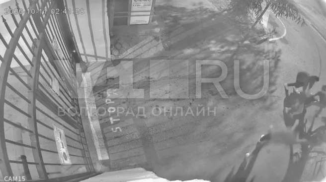 «Нас назвали несовременными»: в центре Волгограда на видео попала массовая потасовка | Источник: Андрей Битюков
