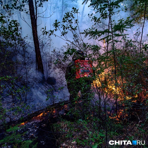 Источник: Олег Фёдоров / CHITA.RU