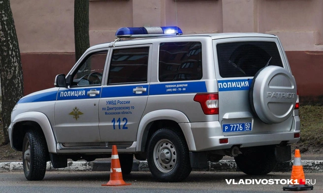 С включенными маяками ездит и ГАИ, и патрульно-постовая служба | Источник: Елена Буйвол / vladivostok1.ru
