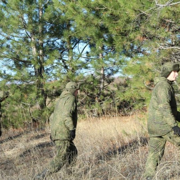 В ходе поиска была охвачена территория более 36 квадратных метров | Источник: ГУ МВД России по Волгоградской области