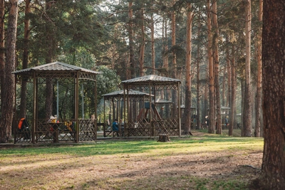 За 2000 рублей в Тюмени предлагают занять беседки в Гилевской роще