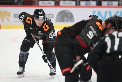 Жители Омска осудили высокие доходы игроков «Авангарда»