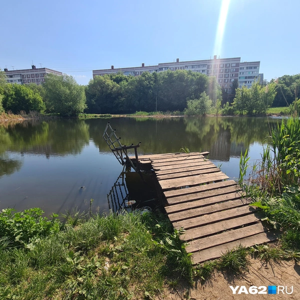 Буквально 3 года назад здесь купались люди | Источник: Светлана Коновалова / YA62.RU