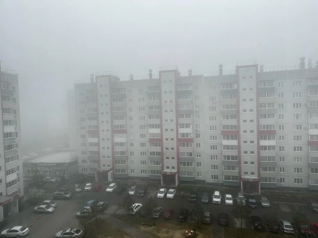 Вот такая обстановка утром была в пригороде | Источник: Вишнёвая горка | Официальная группа жителей / vk.com