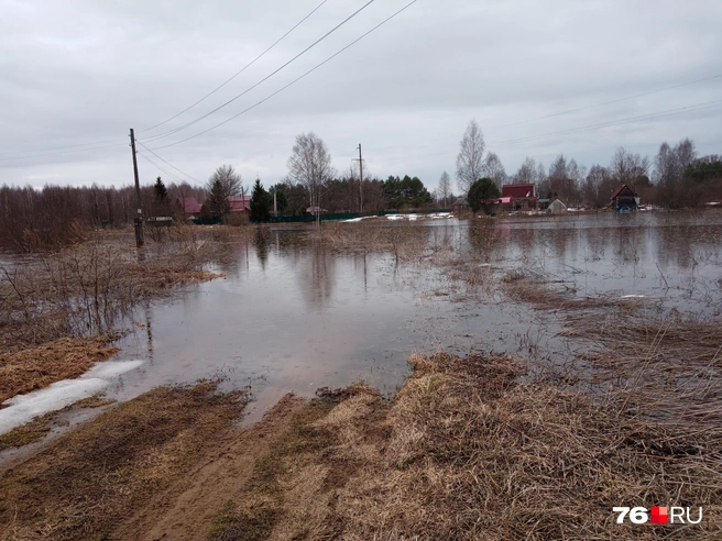 Вода разлилась на огромной территории | Источник: читатель 76.RU