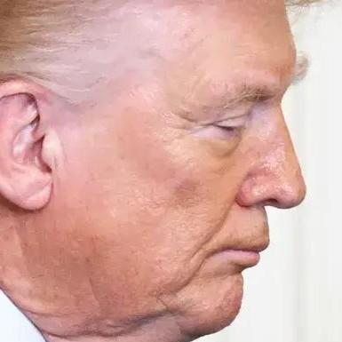 <p>Дональд Трамп</p>