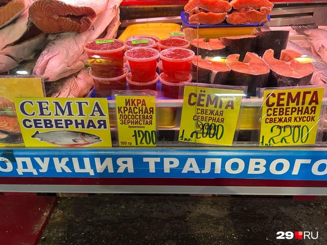 Источник: Кристина Полевая / 29.RU