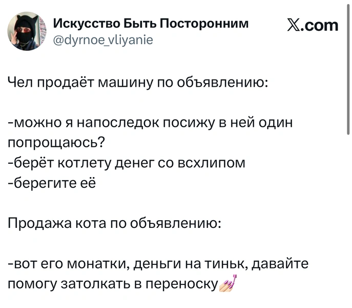 Источник: X (Twitter)