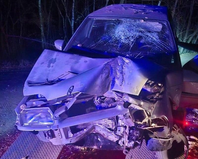 Под Сорочинском ВАЗ влетел в дерево. 18-летний водитель сбежал, бросив пострадавших друзей | Источник: УМВД России по Оренбургской области