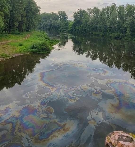 «В воздухе стоит запах бензина»: жители Нефтекамска пожаловались на масляные пятна на реке