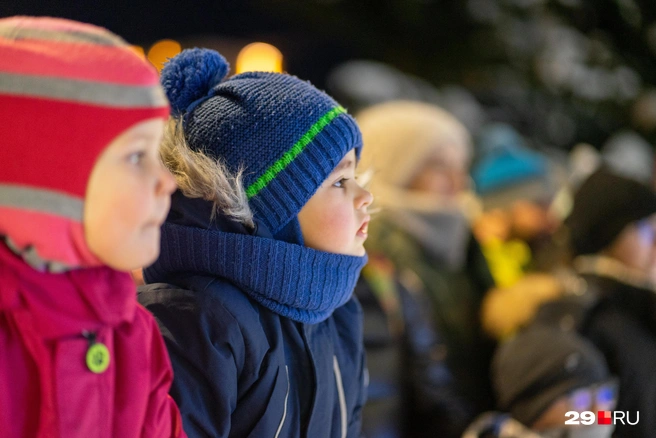 Источник: Анна Лоскутова / 29.RU