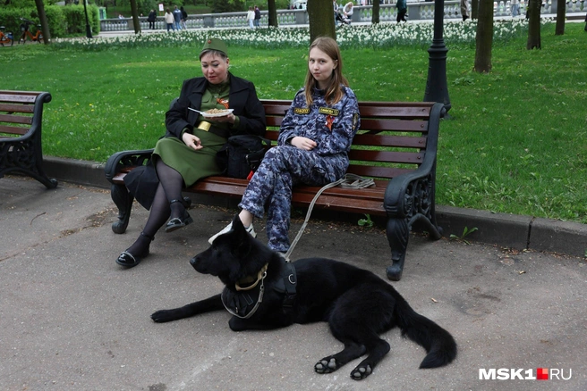 В парке соблюдают порядок | Источник: Артём Устюжанин / MSK1.RU