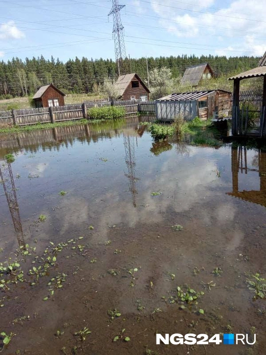 Так выглядят огороды на дачах | Источник: читатель NGS24.RU