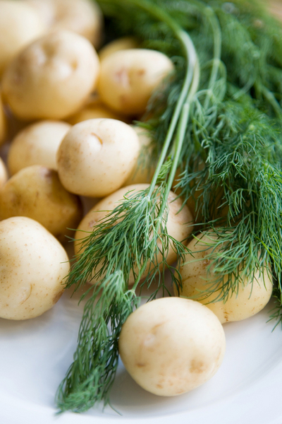 Продукты июля