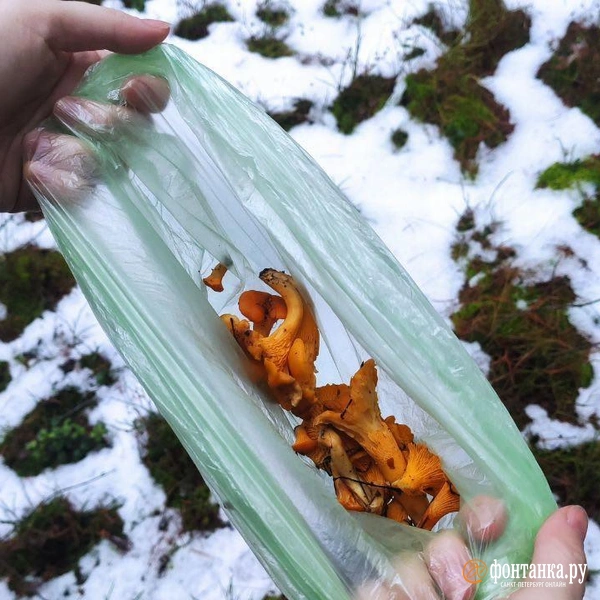 Источник: Сергей Елгазин