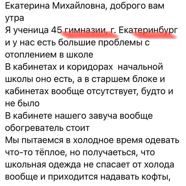 Источник: Екатерина Мизулина / T.me