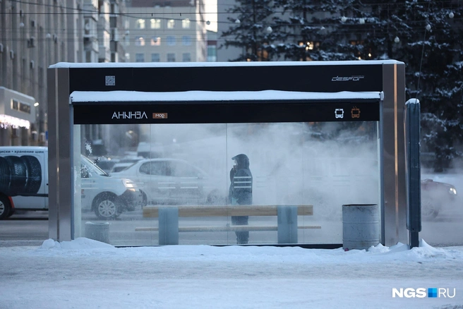 Немногие осмелятся ожидать автобус на остановке в такую погоду, но иногда выбора нет | Источник: Александр Ощепков / NGS.RU
