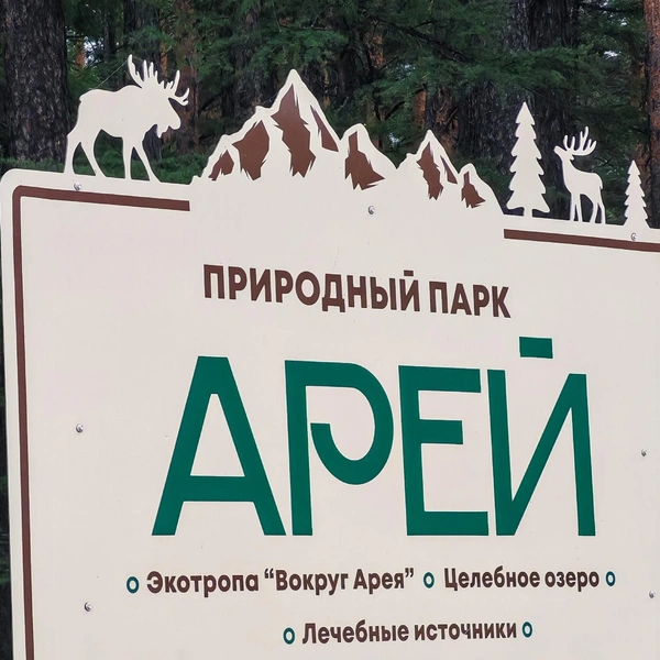 Источник: Андрей Козлов / vk.com