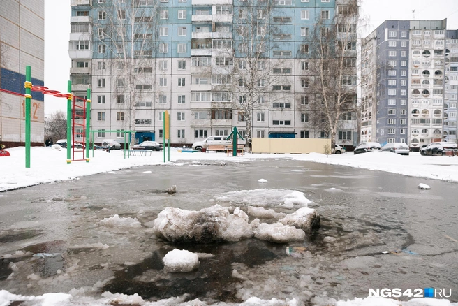 Одной из популярных новостей стало обещание синоптиков о скором потеплении  | Источник: Максим Серков / NGS42.RU