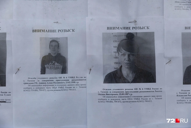 Источник: Ирина Шарова / 72.RU