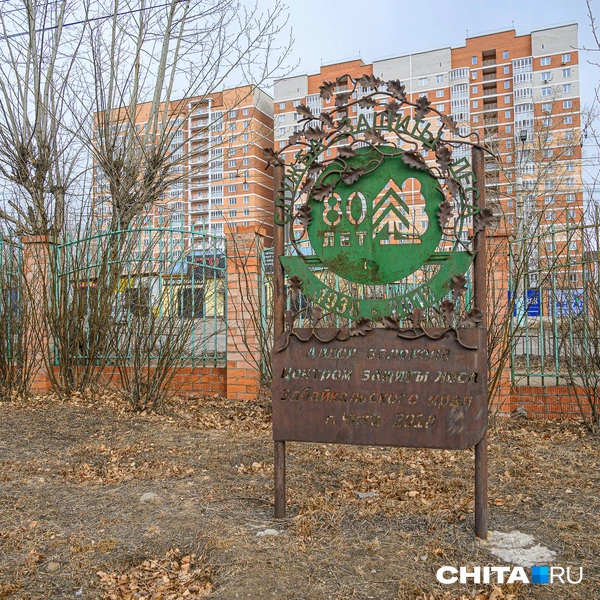 Так парк выглядит сейчас  | Источник: Олег Фёдоров / CHITA.RU
