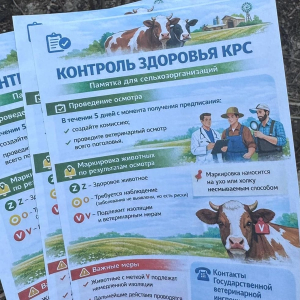 В соцсетях опубликовали фотографию нескольких распечатанных листовок | Источник: ЧП Пермь / Telegram
