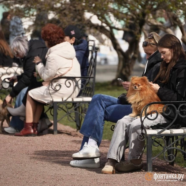 Источник: Павел Даиси / FONTANKA.RU