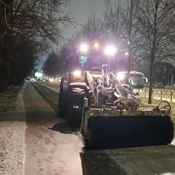 Источник: Комитет по благоустройству Петербурга