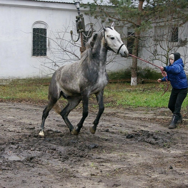 Источник: Александр Зинченко / Voronezh1.ru
