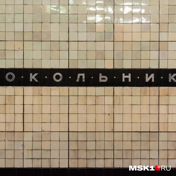 Источник: Дарья Шутова / MSK1.RU