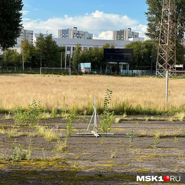 Футбольное поле полностью поросло травой | Источник: Андрей Овчаренко
